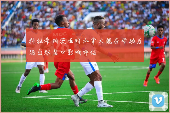 科拉希纳茨面对加拿大能否带动后场出球盘口影响评估