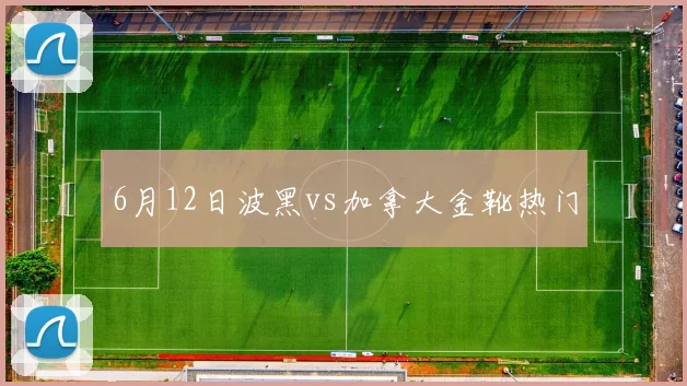 6月12日波黑vs加拿大金靴热门