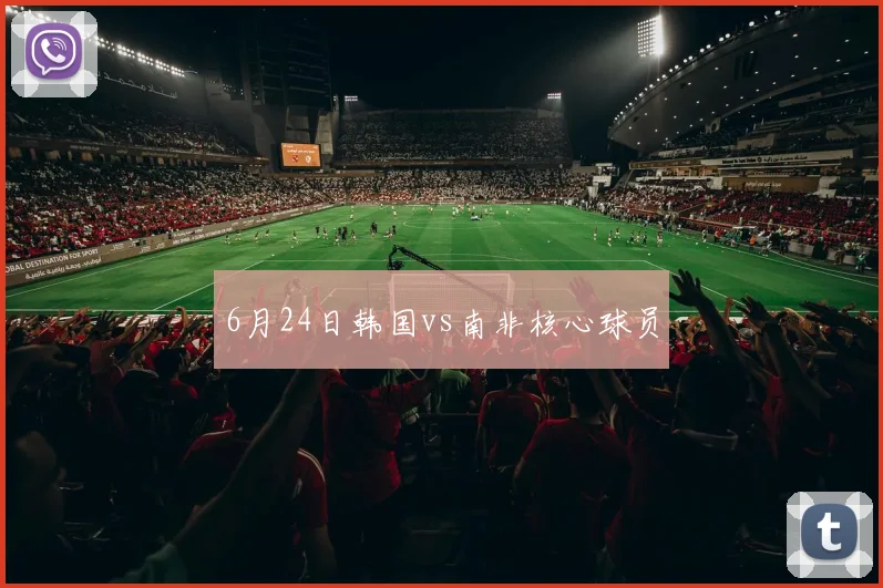 6月24日韩国vs南非核心球员