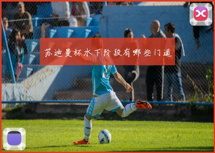苏迪曼杯水下阶段有哪些门道