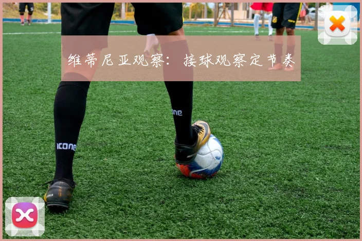 维蒂尼亚观察:接球观察定节奏